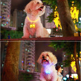 Dog Bone Light - Pro Glow Sports - 1