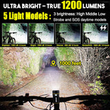 Recumbent Trike Light Combo (1200 Lumen)